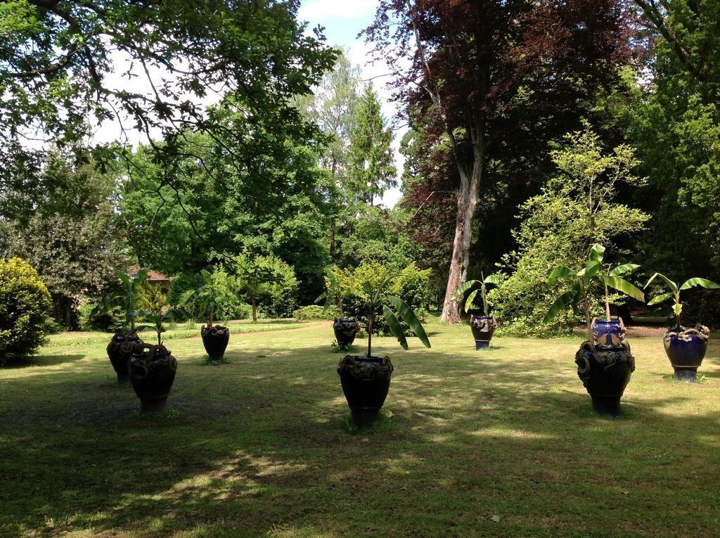 Maisonmazerand Cirey-sur-Vezouze Экстерьер фото